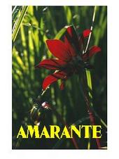 AMARANTE profile picture
