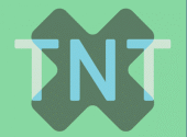 TNT profile picture