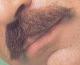 Tom Selleck's Moustache profile picture