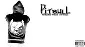 P!T BuLL profile picture