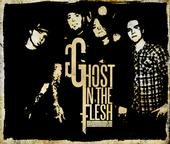 GHOST IN THE FLESH profile picture