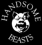 The Handsome Beasts profile picture