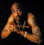 Tupac profile picture