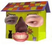 FUN HOUSE profile picture