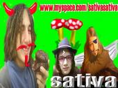 Sativa profile picture