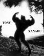 TONY XANADU profile picture