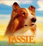 LASSIE profile picture