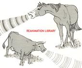 Reanimation Library profile picture