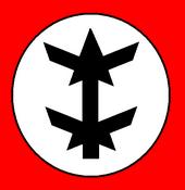 American National People's Party profile picture