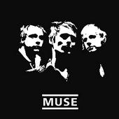 MUSE acoustic profile picture