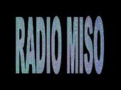 Radio Miso profile picture