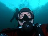 232divers (Nelson) profile picture