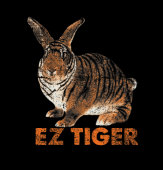 EZ TIGER profile picture