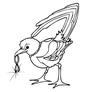 Magpie [vintage] profile picture