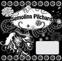 semolina pilchard profile picture