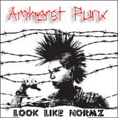 Amherst Punx! profile picture