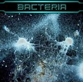 BACTERIA profile picture