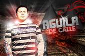 AGUILA DE CALLE profile picture