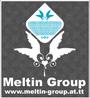 Meltin Group profile picture