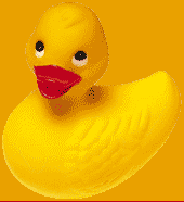 discos patito profile picture