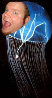 Jellyfish profile picture