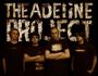 The Adeline Project profile picture