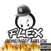 Flex - Video ist drauÃŸen profile picture