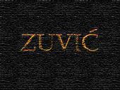 Zuvic profile picture