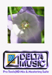 deltamusicbelgium
