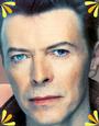 DAVID BOWIE NIGHT profile picture