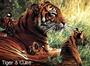 Shere Khan profile picture