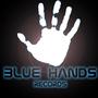 BlueHands Records profile picture