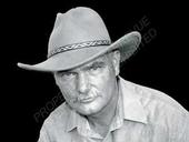 Dave Toland profile picture