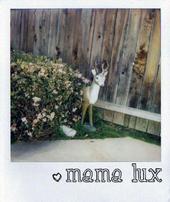 Mama Lux profile picture