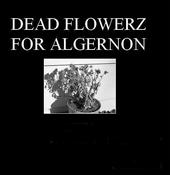 DEAD FLOWERZ FOR ALGERNON profile picture