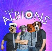 THE ALBIONS (New Albion Covers Project) profile picture