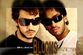 BLACK BLOOMS profile picture