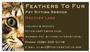 Feathers To Fur Â® profile picture