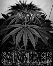 Satannabis profile picture