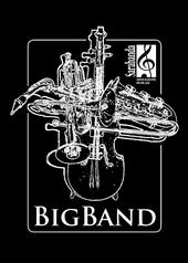 Sarabanda Big Band profile picture