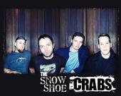 Snow Shoe Crabs profile picture