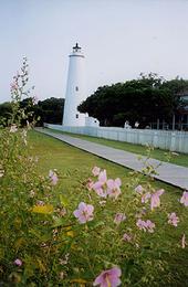 Ocracoke Island Lighthouse ~ Ocracoke Island,NC profile picture