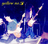 Yellow No. 5 profile picture