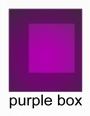 Purple Box Digital profile picture