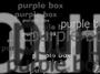 Purple Box Digital profile picture