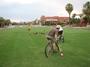 TUCSON BikePolo profile picture