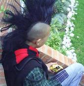 fredy (FRETO punk) profile picture