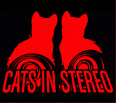 CATS IN STEREO profile picture