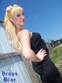 **~Venus Blue~** (PMM Texas Prospect) profile picture