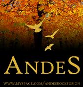 ANDES profile picture